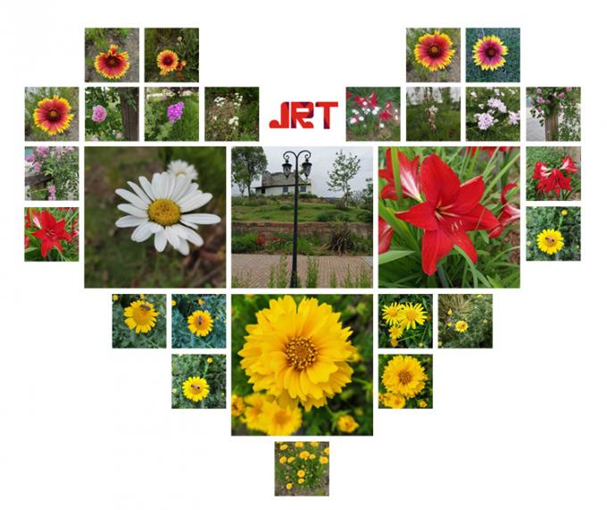 JRT - 5 - Flowers